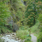 DSC04849.JPG