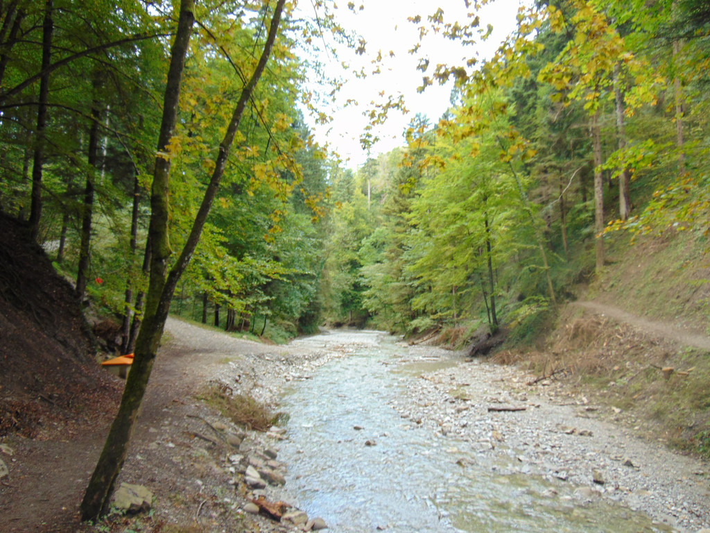 DSC04850.JPG