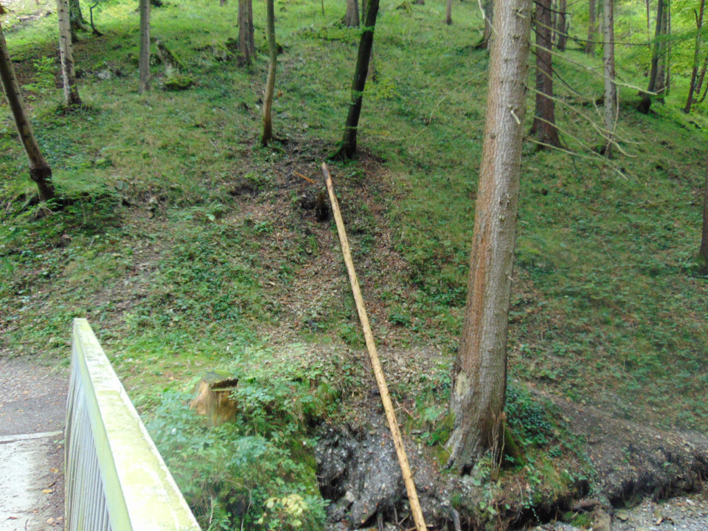 DSC04851.JPG