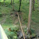 DSC04851.JPG