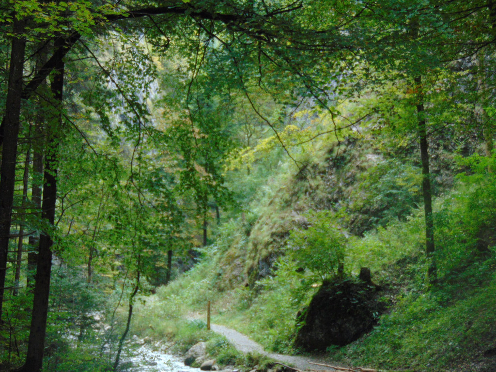DSC04852.JPG
