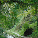 DSC04852.JPG