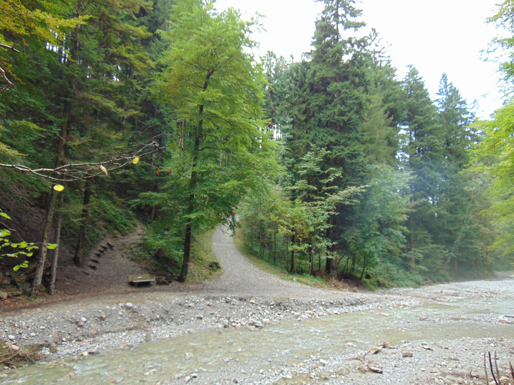 DSC04853.JPG