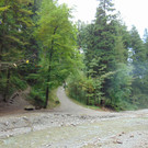 DSC04853.JPG