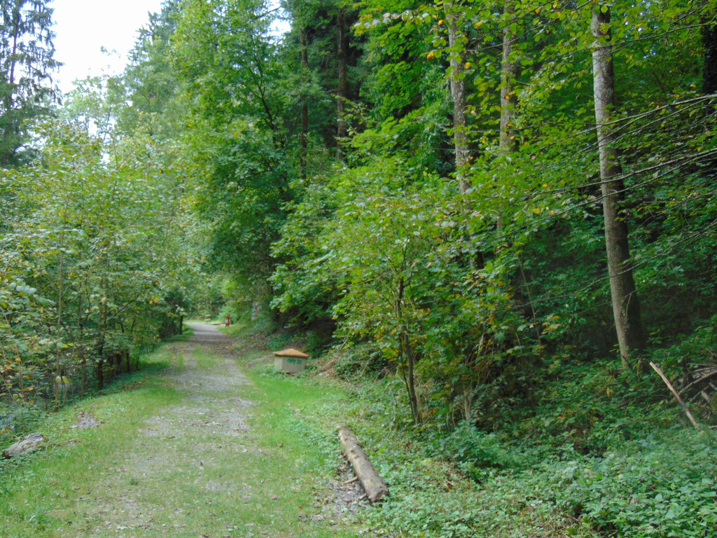 DSC04842.JPG