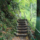 DSC04846.JPG