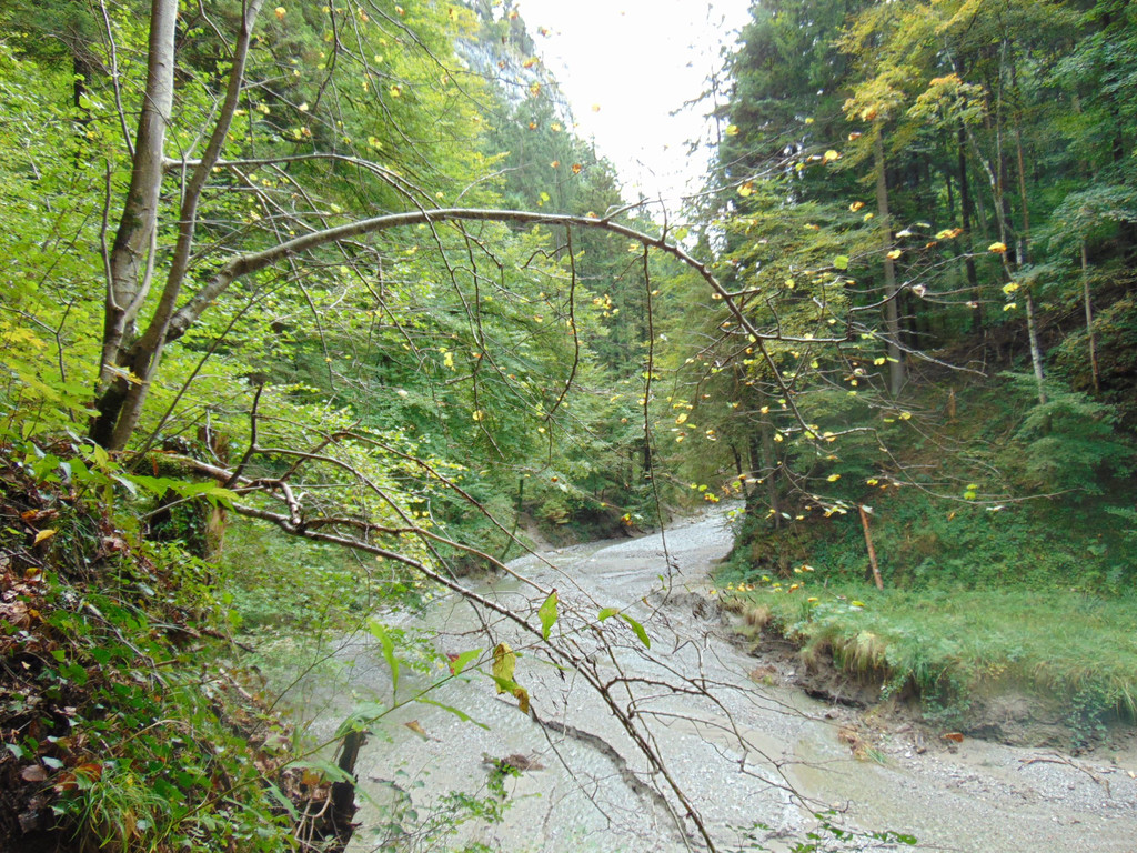 DSC04847.JPG