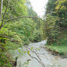 DSC04847.JPG