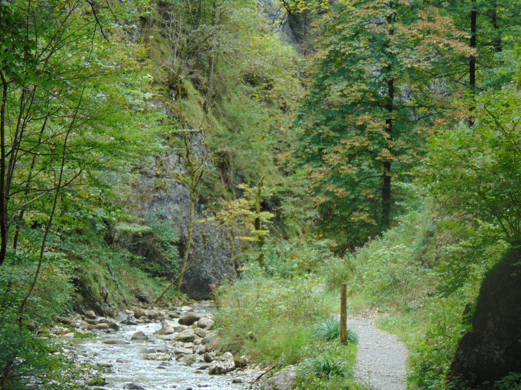 DSC04849.JPG