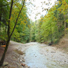 DSC04850.JPG