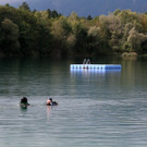 IMG_9238.JPG