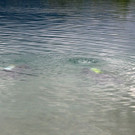 IMG_9244.JPG