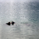 IMG_9286.JPG