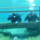 PICT4380.JPG
