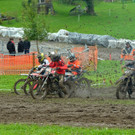 DSC_7515.JPG