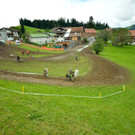 DSC_7734.JPG