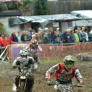 DSC_7800.JPG