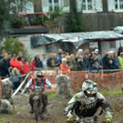 DSC_7801.JPG