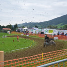 DSC_9148.JPG