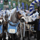 Germany_Oktoberfest_Parade_37425.jpg