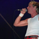 619081.jpg
