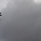 AFP_SH6UA.jpg