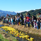 Start 2013 _2_.JPG