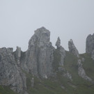 IMG_9020.JPG