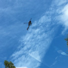 Bewaffneter Raubüberfall in Bregenz