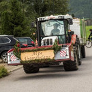 Alpabtrieb Mellau 2017
