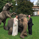 Lindau: Hochzeit mit Elefanten