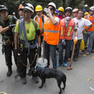 Mexico_Earthquake_49126.jpg
