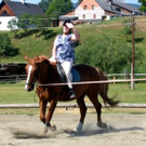 630410.jpg