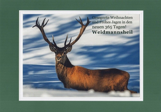 Hirsch.jpg