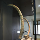 ABD0014-20170923.jpg