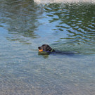 IMG_0689.JPG