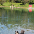 IMG_0702.JPG