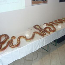 631903.jpg