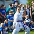 file6wtpir9nv7d151jk7hb6.jpg