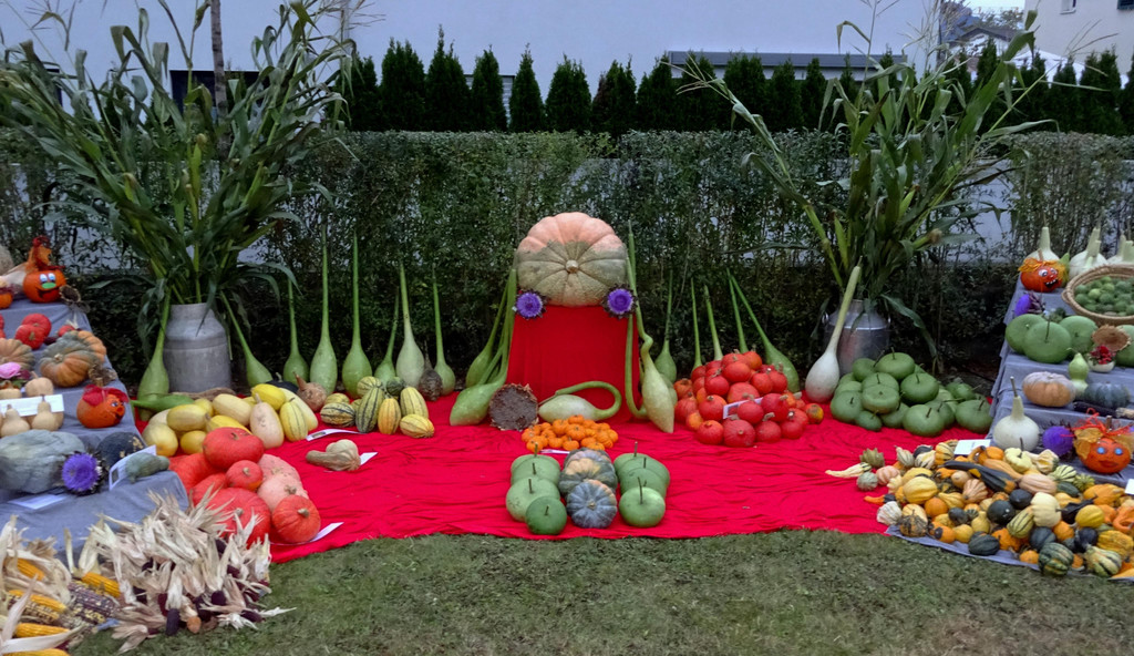 K__rbis und Kartoffelfest 3.JPG