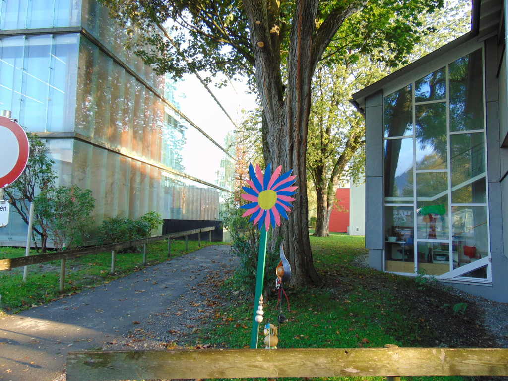 DSC04865.JPG