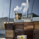 Der gewonnene Honig wird nach der Ernte als Geburtstagsgeschenk an die Stammkunden verschenkt_.jpg