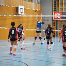 P9233357.JPG