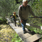 IMG_9230.JPG
