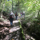IMG_9236.JPG