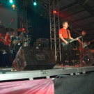 643325.jpg