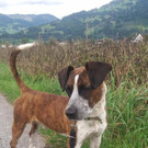 21761430_1343836269058739_2500596223042121013_n _2_.jpg