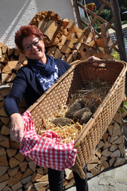 DSC_0299 - Kopie.JPG