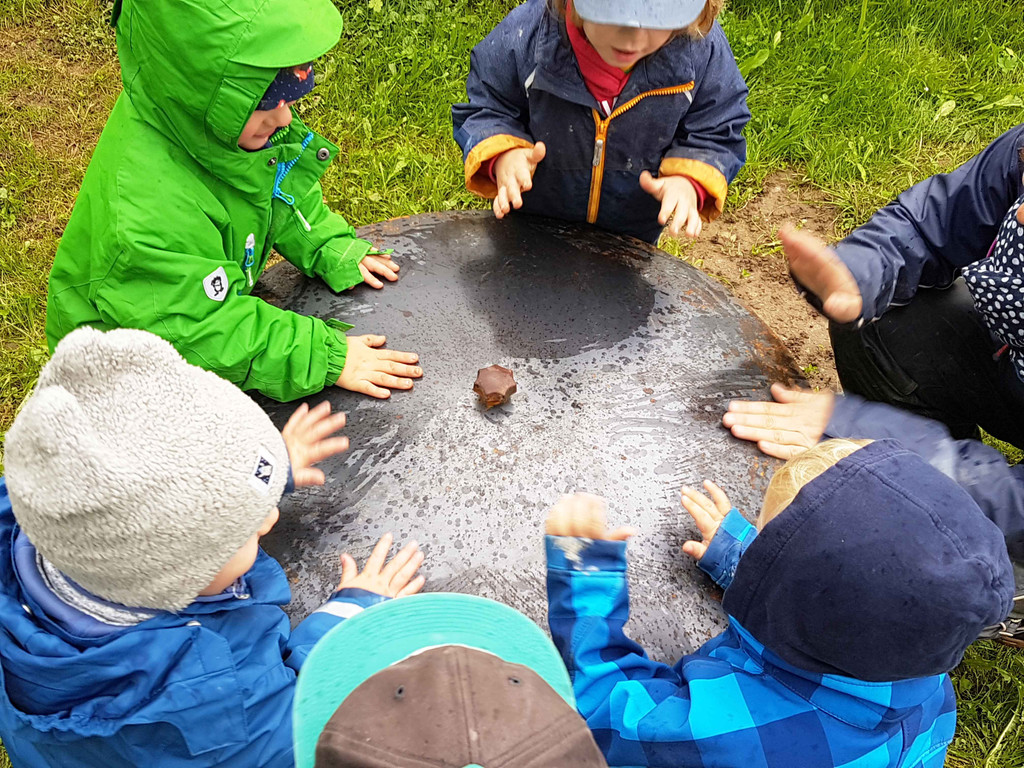 Waldkinder_H__rbranz_20170919_112842_web.jpg