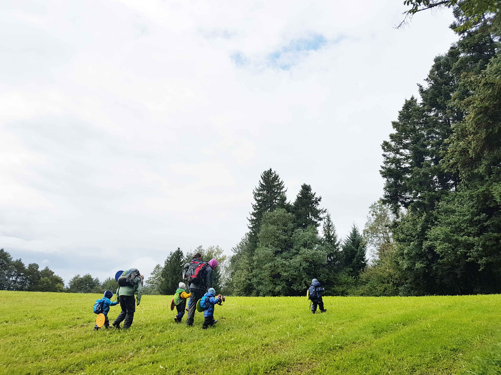 Waldkinder_H__rbranz_20170920_112343_web.jpg
